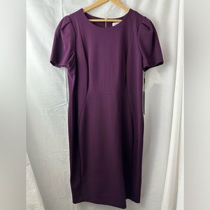 COPY - NWT purple short sleeve Calvin Klein Dress size 14